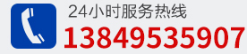 0391-6688313
